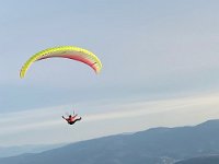 Lijak März 2020 - 80